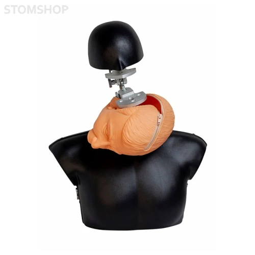 Standart - самодренируемый фантом | Dentalstore (Италия)