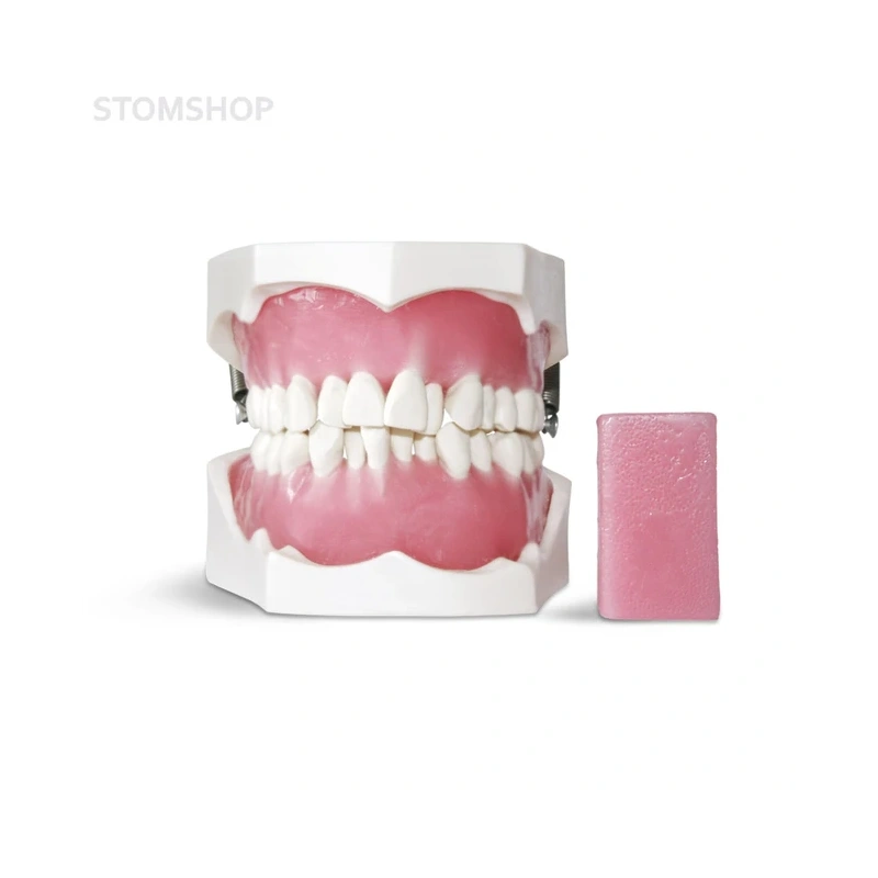 E40 – модель верхней и нижней челюсти для ортодонтической практики с воском | GF Dental (Италия)