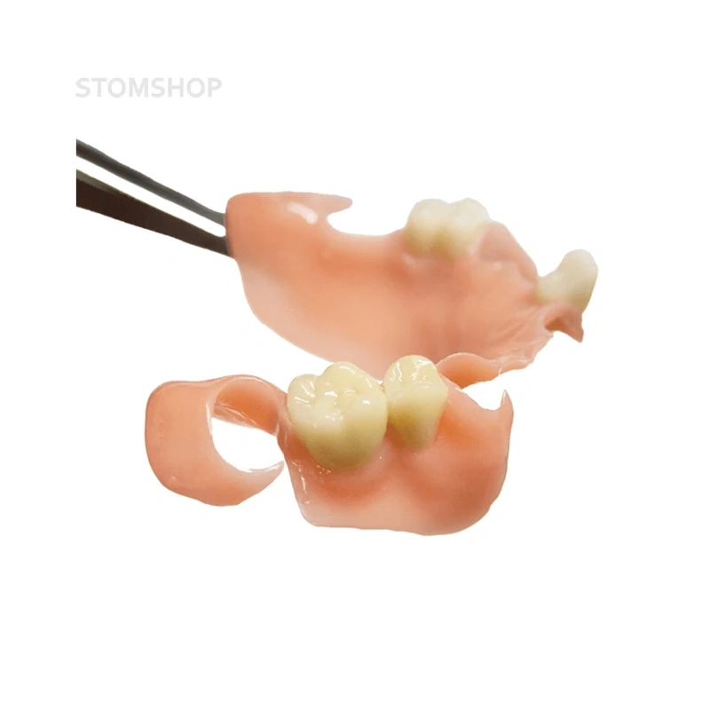 HARZ Labs Dental Denture Base Soft - фотополимерная смола, цвет розовый, 0.5 кг | HARZ Labs (Россия)