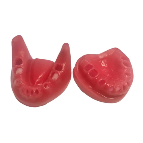 E34G – сменные десны для фантомной челюсти, эластичные, розовые | GF Dental (Италия)
