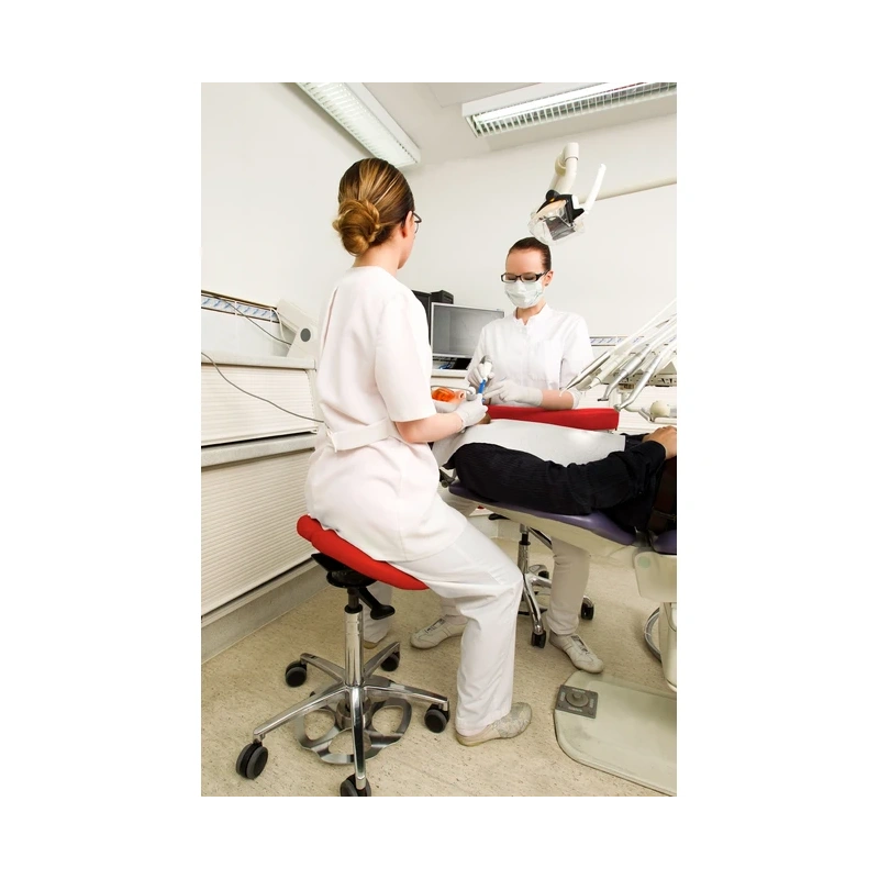 Salli Sway - эргономичный стул механизмом качания | Salli (Китай)