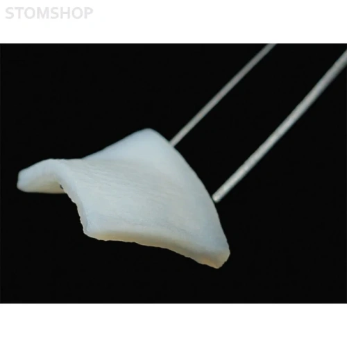 fibroMATRIX - коллагеновый 3D матрикс, диаметр 8 мм | Cardioplant (Россия)