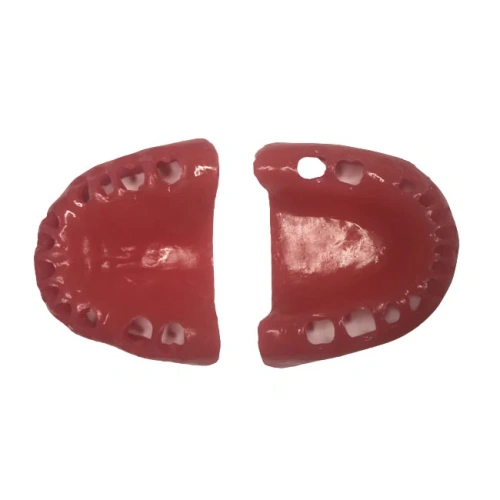 E56G – сменные десны для фантомной челюсти, эластичные, розовые | GF Dental (Италия)