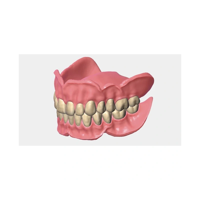 Exocad Full Denture Module - модуль для создания полносъемных протезов | Exocad (Германия)